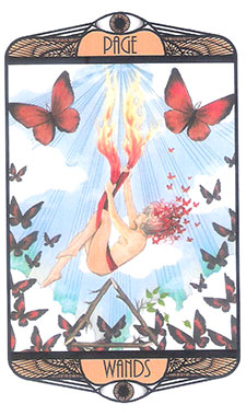 Hardy Tarot